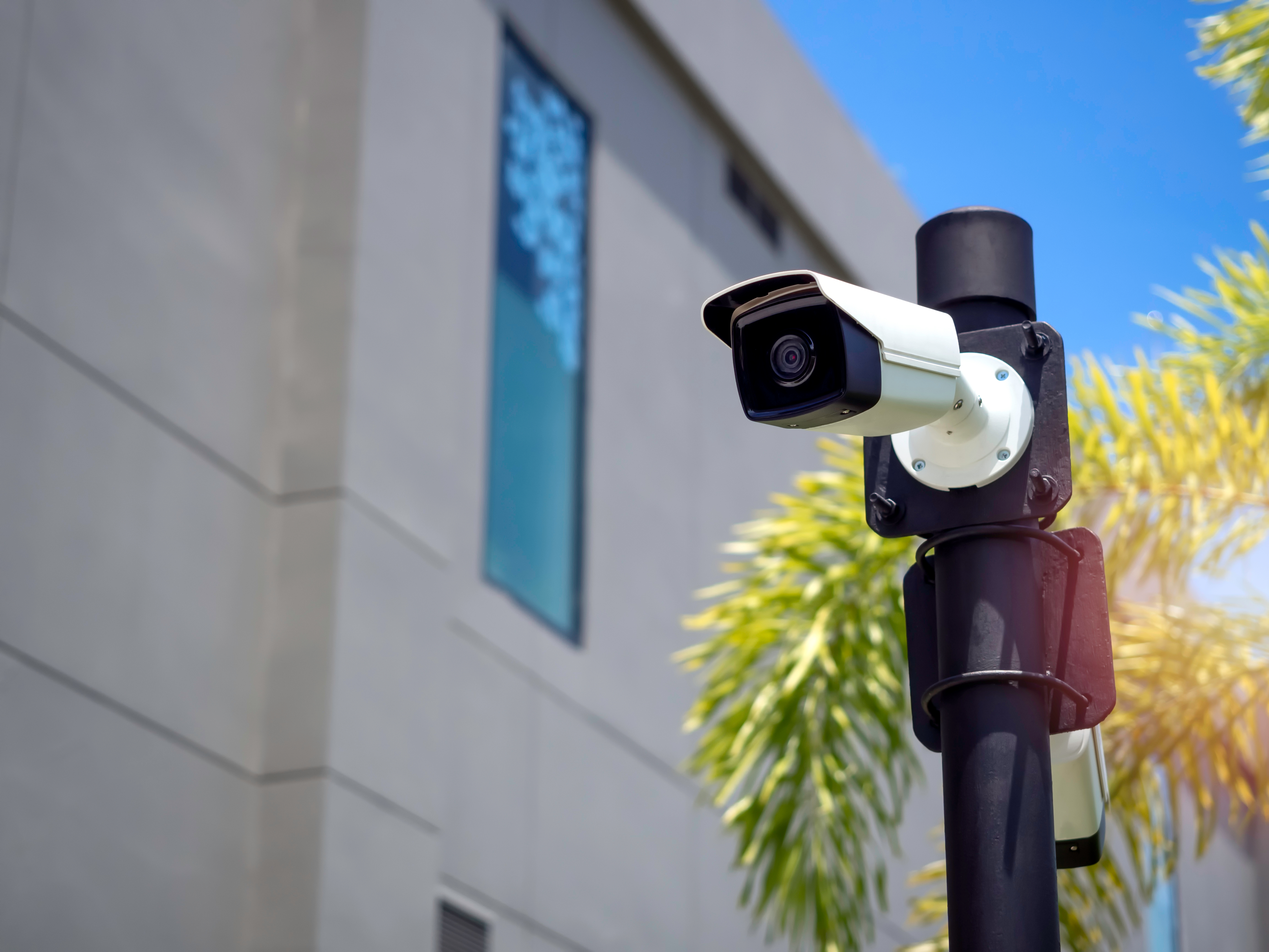 Security Cameras and Smart Systems